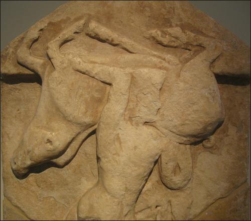Capturing the Boar of Mount Erymanthos