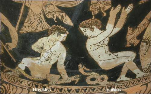 Herakles and Iphikles