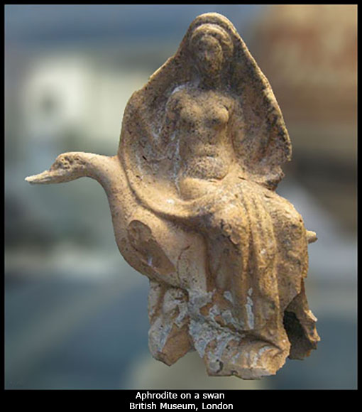 Aphrodite on a swan